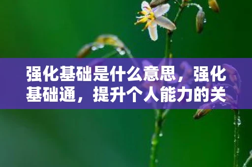 强化基础是什么意思，强化基础通，提升个人能力的关键路径
