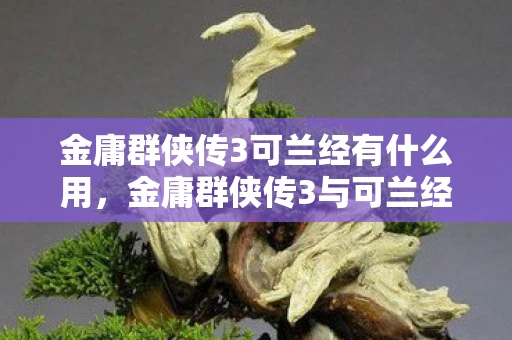 金庸群侠传3可兰经有什么用，金庸群侠传3与可兰经的跨界融合，武侠与宗教的奇妙碰撞