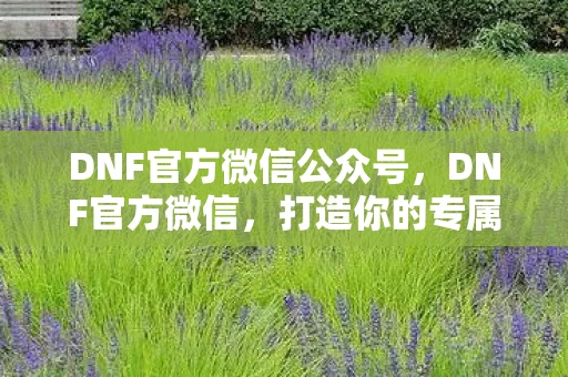 DNF官方微信公众号，DNF官方微信，打造你的专属地下城冒险之旅