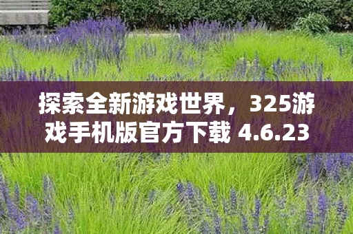 325游戏手机版官方下载 4图片