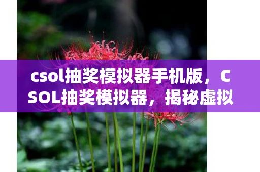 csol抽奖模拟器手机版，CSOL抽奖模拟器，揭秘虚拟抽奖背后的概率与心理