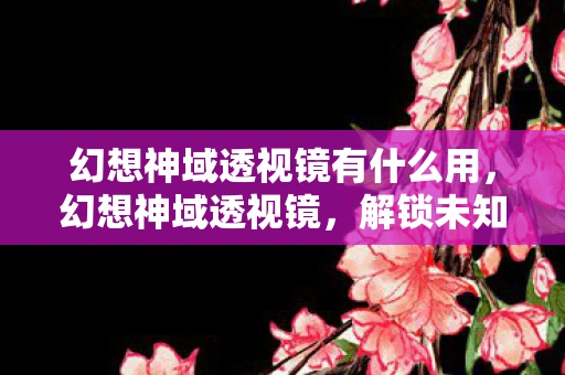 幻想神域透视镜有什么用，幻想神域透视镜，解锁未知世界的神秘钥匙
