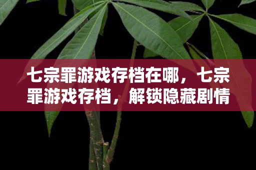 七宗罪游戏存档在哪，七宗罪游戏存档，解锁隐藏剧情与角色