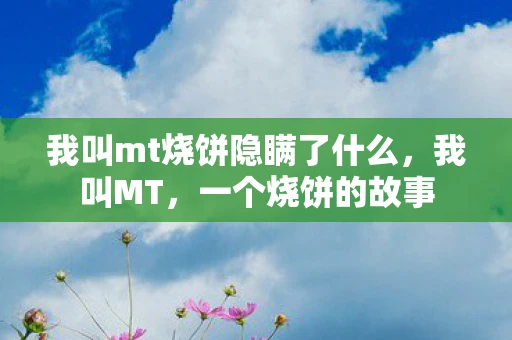 我叫mt烧饼隐瞒了什么，我叫MT，一个烧饼的故事