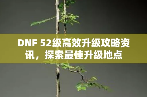 DNF 52级高效升级攻略资讯图片