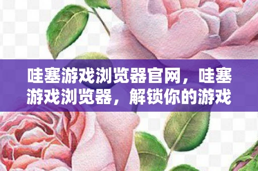 哇塞游戏浏览器官网，哇塞游戏浏览器，解锁你的游戏新世界