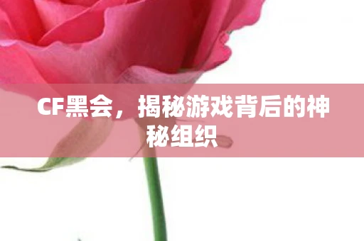 CF黑会,揭秘游戏背后的神秘组织 CF黑会,揭秘游戏背后的神秘组织