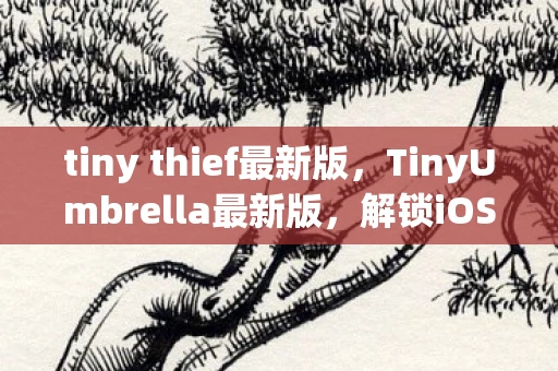 tiny thief最新版,TinyUmbrella最新版,解锁iOS设备的终极工具 tiny thief最新版,TinyUmbrella最新版,解锁iOS设备的终极工具