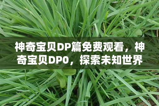 神奇宝贝DP篇免费观看，神奇宝贝DP0，探索未知世界的奇妙旅程