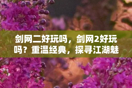 剑网二好玩吗，剑网2好玩吗？重温经典，探寻江湖魅力