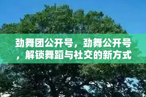 劲舞团公开号,劲舞公开号,解锁舞蹈与社交的新方式 劲舞团公开号,劲舞公开号,解锁舞蹈与社交的新方式