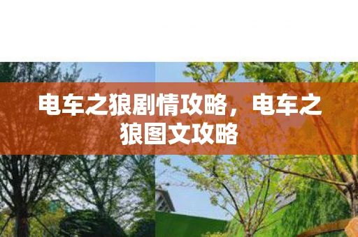 电车之狼剧情攻略，电车之狼图文攻略