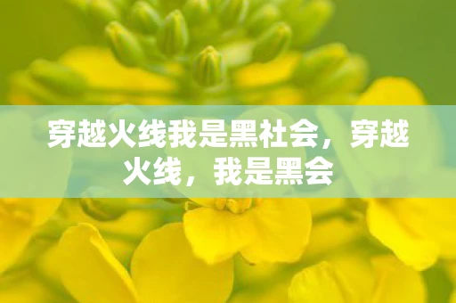 穿越火线我是黑社会，穿越火线，我是黑会