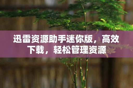 迅雷资源助手迷你版图片