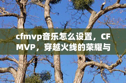 cfmvp音乐怎么设置，CFMVP，穿越火线的荣耀与梦想