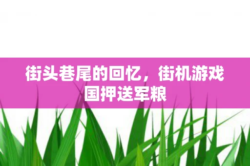 街头巷尾的回忆,街机游戏国押送军粮 街头巷尾的回忆,街机游戏国押送军粮
