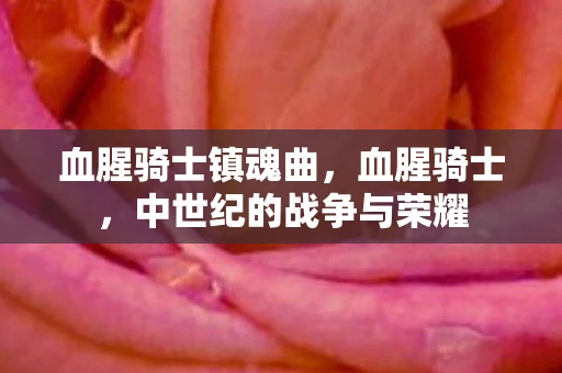 血腥骑士镇魂曲，血腥骑士，中世纪的战争与荣耀