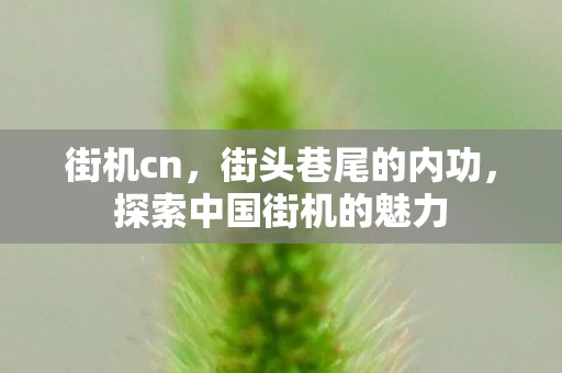 街机cn，街头巷尾的内功，探索中国街机的魅力