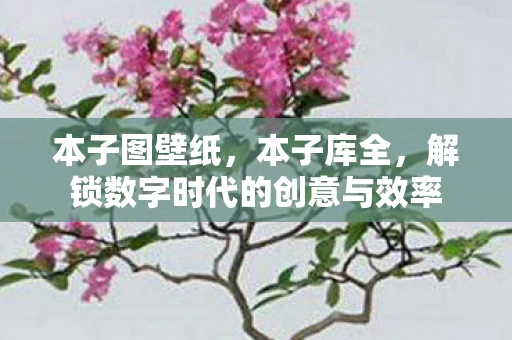 本子图壁纸，本子库全，解锁数字时代的创意与效率