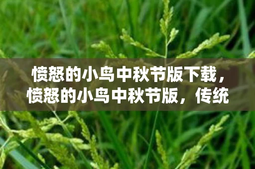 愤怒的小鸟中秋节版下载,愤怒的小鸟中秋节版,传统与创新的完美融合 愤怒的小鸟中秋节版下载,愤怒的小鸟中秋节版,传统与创新的完美融合