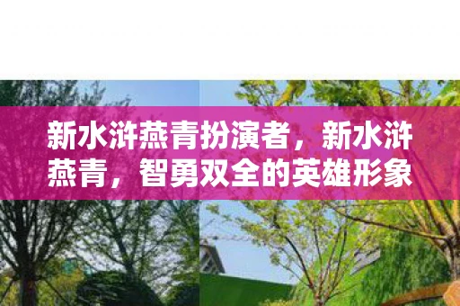 新水浒燕青扮演者，新水浒燕青，智勇双全的英雄形象