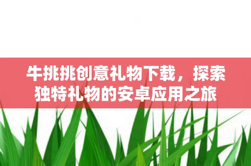 探索独特礼物的安卓应用之旅图片
