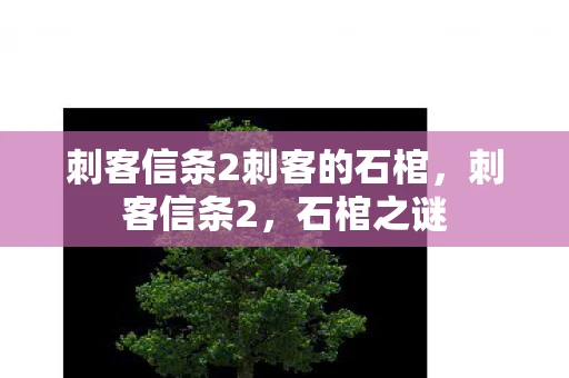 刺客信条2刺客的石棺，刺客信条2，石棺之谜