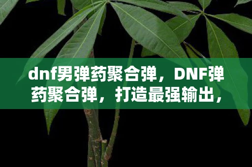 dnf男弹药聚合弹，DNF弹药聚合弹，打造最强输出，助你称霸阿拉德大陆