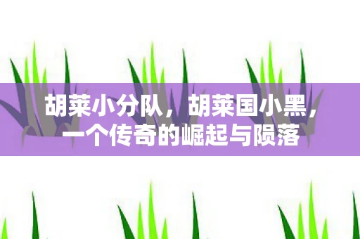 胡莱小分队，胡莱国小黑，一个传奇的崛起与陨落