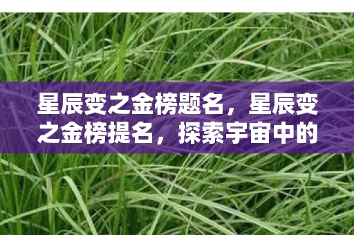 星辰变之金榜题名，星辰变之金榜提名，探索宇宙中的神秘力量