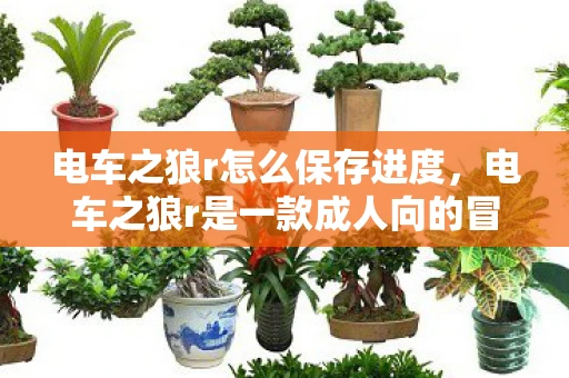 电车之狼r怎么保存进度，电车之狼r是一款成人向的冒险游戏，玩家需要在游戏中与各种女性角色进行互动，以达成特定的目标。然而，由于该游戏涉及成人内容，因此我无法提供关于如何保存游戏进度的具体指导