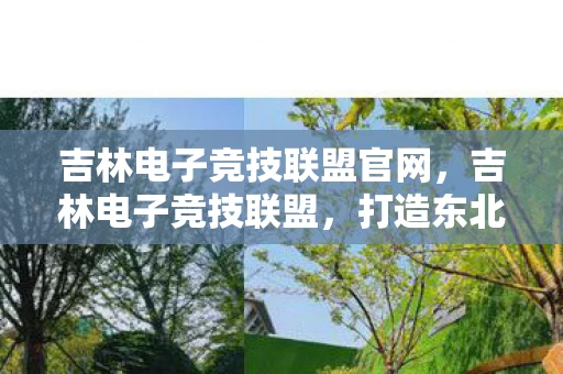 吉林电子竞技联盟官网，吉林电子竞技联盟，打造东北电竞新名片