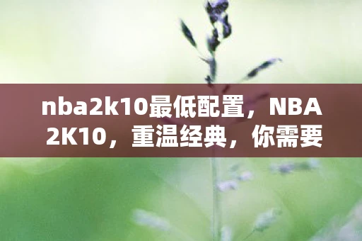 nba2k10最低配置,NBA 2K10,重温经典,你需要满足这些配置要求 nba2k10最低配置,NBA 2K10,重温经典,你需要满足这些配置要求