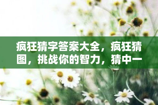 疯狂猜字答案大全，疯狂猜图，挑战你的智力，猜中一个字母