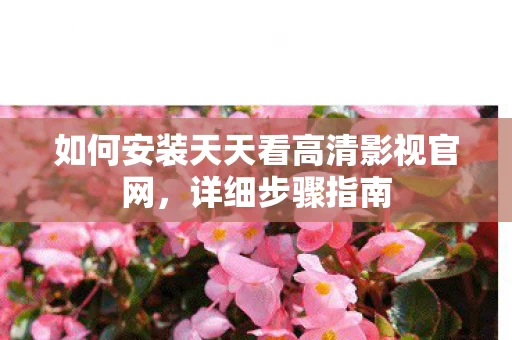 如何安装天天看高清影视官网图片
