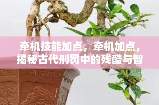 牵机技能加点,牵机加点,揭秘古代刑罚中的残酷与智慧 牵机技能加点,牵机加点,揭秘古代刑罚中的残酷与智慧