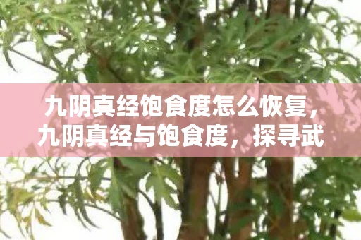九阴真经饱食度怎么恢复，九阴真经与饱食度，探寻武侠世界中的生存智慧