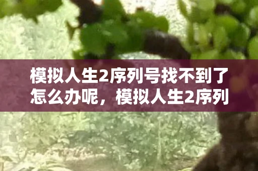 模拟人生2序列号找不到了怎么办呢,模拟人生2序列号,解锁游戏世界的钥匙 模拟人生2序列号找不到了怎么办呢,模拟人生2序列号,解锁游戏世界的钥匙