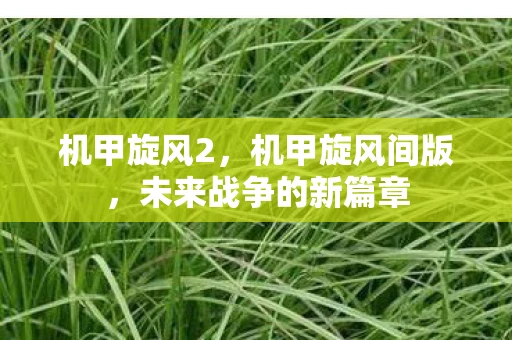 机甲旋风2，机甲旋风间版，未来战争的新篇章