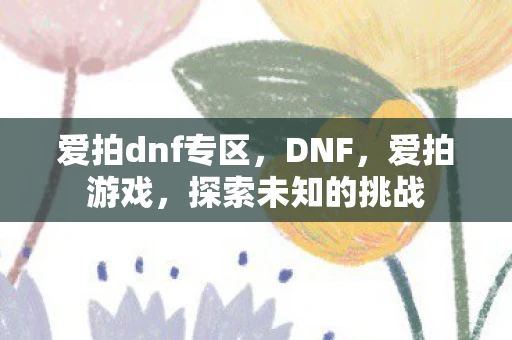 爱拍dnf专区，DNF，爱拍游戏，探索未知的挑战