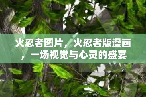 火忍者图片，火忍者版漫画，一场视觉与心灵的盛宴