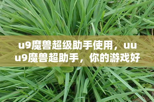 u9魔兽超级助手使用,uuu9魔兽超助手,你的游戏好帮手 u9魔兽超级助手使用,uuu9魔兽超助手,你的游戏好帮手