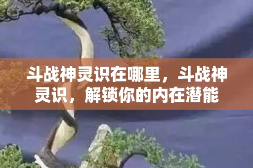 斗战神灵识在哪里，斗战神灵识，解锁你的内在潜能