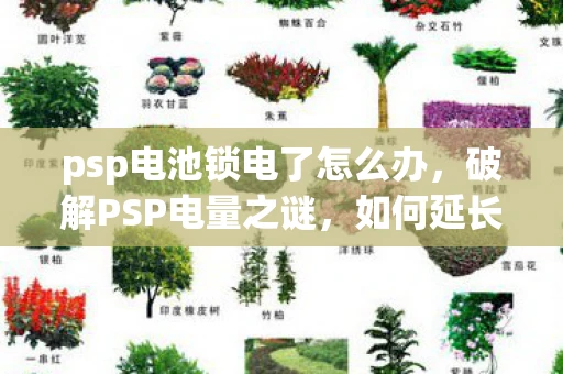 psp电池锁电了怎么办，破解PSP电量之谜，如何延长PSP游戏机的续航时间