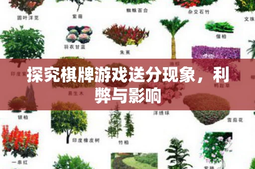 探究棋牌游戏送分现象图片