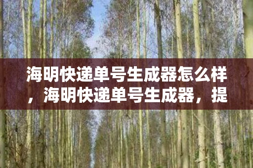 海明快递单号生成器怎么样,海明快递单号生成器,提升物流效率的神器 海明快递单号生成器怎么样,海明快递单号生成器,提升物流效率的神器