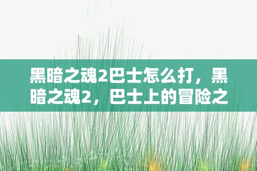 黑暗之魂2巴士怎么打，黑暗之魂2，巴士上的冒险之旅