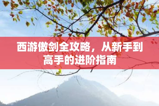从新手到高手的进阶指南图片