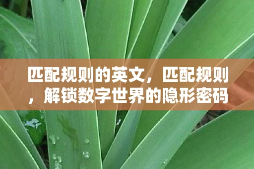 匹配规则的英文，匹配规则，解锁数字世界的隐形密码