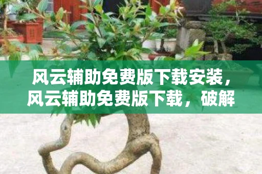 风云辅助免费版下载安装,风云辅助免费版下载,破解游戏难关的利器 风云辅助免费版下载安装,风云辅助免费版下载,破解游戏难关的利器